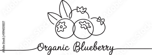Blueberry vector illustration. One line drawing art illustration with lettering organic blueberry. Blueberries in continuous line art drawing style. one line Icon drawing