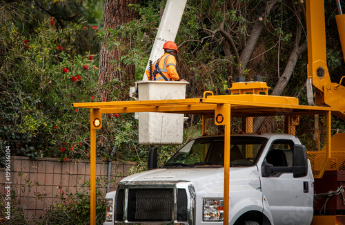 A tree trimmer in the bucket of a large articulating boom lift.