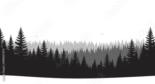 Monochromatic Evergreen Forest Landscape with Distant Birds