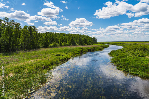 Landscape with the Biebrza River flowing through meadows in summer