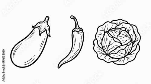 Vegetables eggplant chili pepper cabbage illustration