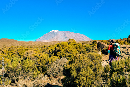 Fotografía A solo Hiker Ascending Towards Kibo peak in the Afro-Alpine Moorland ecological