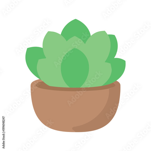 Simple illustration of a small succulent plant in a brown pot on a white background