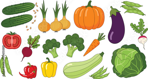 Colorful Flat Style Fresh Farm Vegetable Collection Set with Variety of Garden Produce for Healthy Food Design