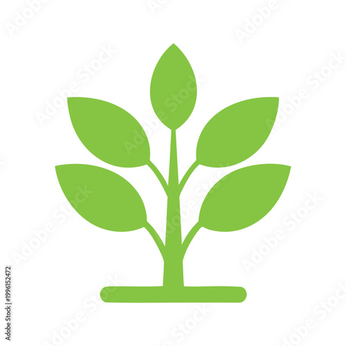 Stylized plant sapling with leaves and stem in bright green color on a white background
