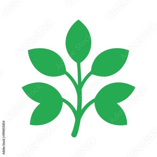 A flat green sprig with five ovate leaves is arranged symmetrically on a simple stem and it represents nature and growth.