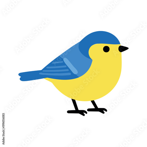 A small bird with a blue head, wings, and a yellow body stands with black feet on a white background in a simple design.