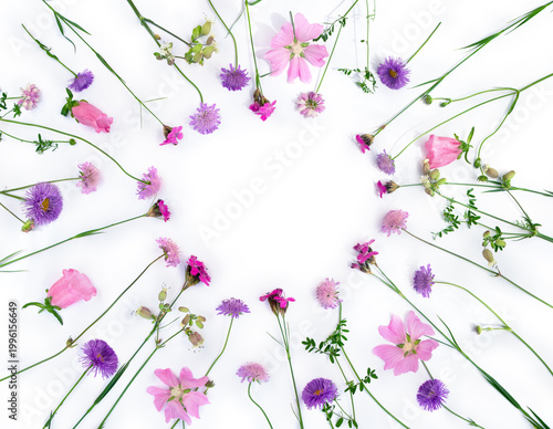 Floral frame of pink and purple wildflowers on white background with copy space