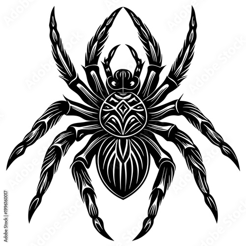 A black and white illustration of a spider with intricate designs on its body and legs, set against a plain background.