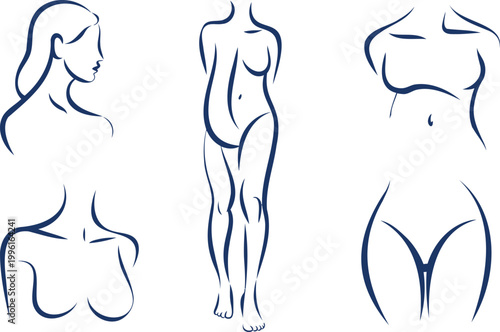 Abstract female body line profile and torso views figure