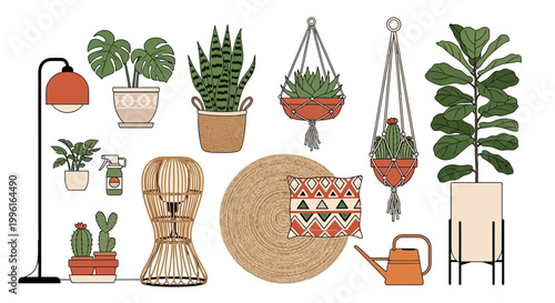 Bohemian indoor plants vector graphic illustration design