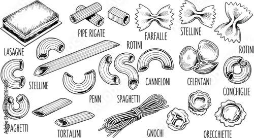 Black and White Engraving Style Italian Pasta Types Collection with Spaghetti Lasagne Farfalle and Cannelloni Set