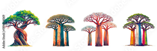 Baobab tree flat design illustration isolated on transparent background
