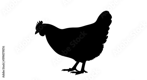 Black silhouette of a chicken