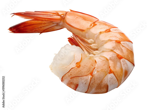 Premium Peeled and De-veined Cooked Jumbo Shrimp Isolated on White Background