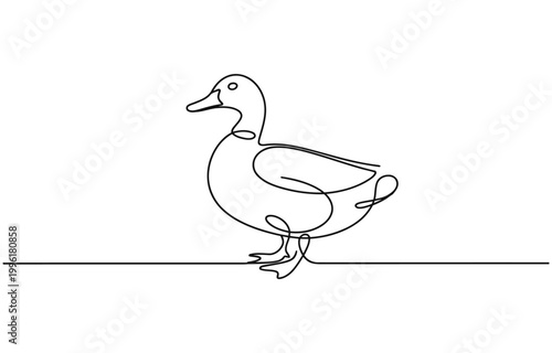 Domestic goose continuous one line drawing,Duck in continuous line art drawing style. 