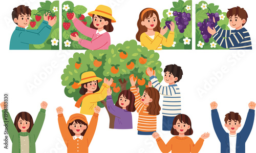 Harvest season vector illustration set with people picking fruits, strawberries, grapes and oranges, happy farming and agriculture collection