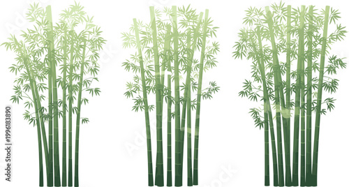 Vector Illustration of Bamboo Plants with Tall Stalks and Green Gradient Foliage for Nature, Garden, and Eco-friendly Designs