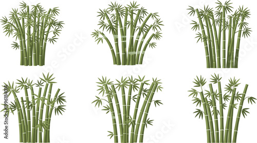 Vector Illustration of Bamboo Plants with Tall Stalks and Lush Green Leaves for Nature, Garden, and Eco-friendly Designs