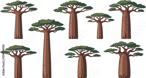 Vector Illustration of Baobab Trees with Tall Trunks and Bushy Foliage for African Landscape and Nature Designs