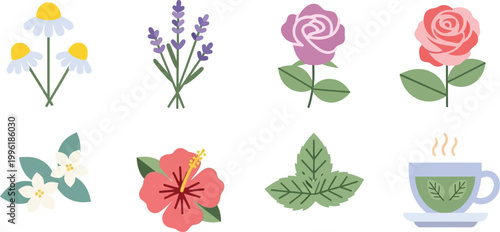 Collection of flat design floral icons and tea cup representing herbs and botanicals for wellness and beverage concepts isolated on white