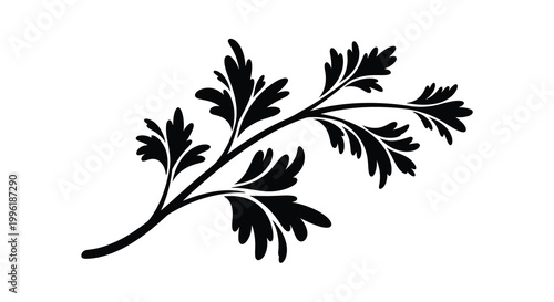 branch silhouette with intricate leaf patterns on white background