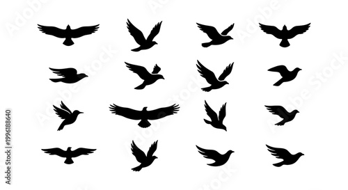Black bird silhouettes collection, flying eagle and hawk icons set, 16 vector bird shapes in flight, soaring raven and crow outlines for logo design