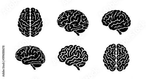 Human brain icons set, black silhouette anatomy symbols, medical neurology vector graphics, 6 brain views for science and education