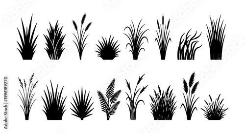 Black grass silhouette set, wild meadow plants and marsh reed icons, 16 botanical vector elements for landscape design and nature illustrations
