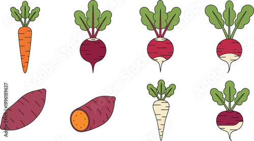 Collection of root vegetable icons including carrot beet radish and sweet potato in a simple flat vector style for healthy eating and agriculture concepts