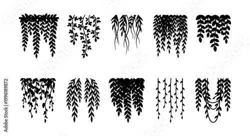 Hanging plant silhouettes, set of 10 black botanical leaf vectors, trailing ivy and vine illustrations, decorative floral foliage elements for border design