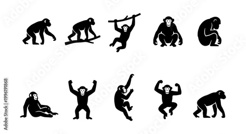 Chimpanzee silhouette icon set, black monkey vector collection, 10 wild ape poses including climbing and sitting, primate wildlife graphic elements