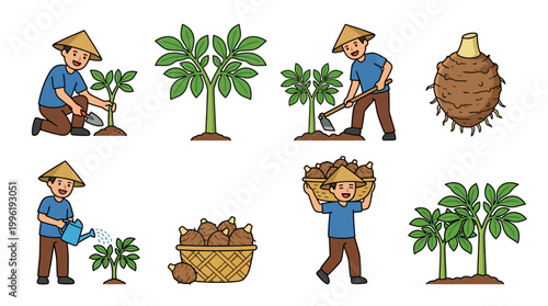 Hardworking asian farmer in conical hat planting and harvesting taro root plants in a stylized vector illustration set for agriculture