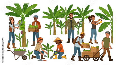 Diverse farmers work together to harvest fresh organic bananas while managing crop health and transportation in a busy tropical plantation