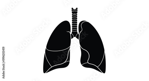 human lungs silhouette with trachea on white background