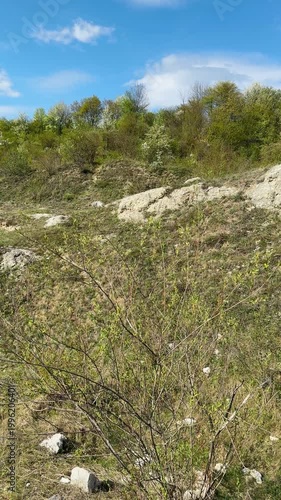 Rocky hillside with green trees and blue sky on a sunny day