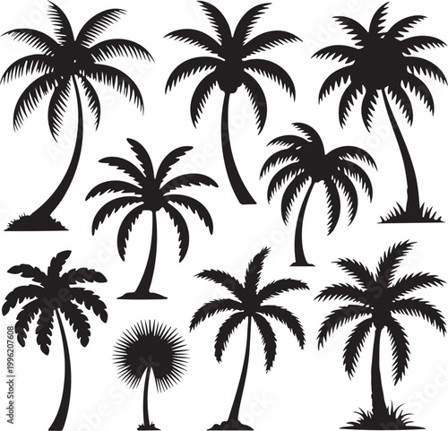 Collection of black palm tree silhouettes isolated on white background