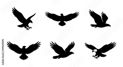 Eagle silhouette vector set, 6 flying bird of prey icons, black hawk and falcon shapes, bald eagle soaring and landing graphics for logo design
