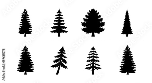 Pine tree silhouettes set, black conifer evergreen forest icons, 8 minimalist spruce and fir tree vector elements for outdoor branding