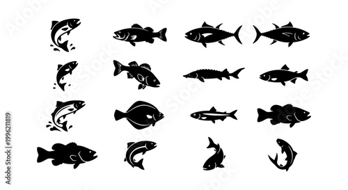 Black fish silhouette icons set, 16 vector sea and river fish species, minimalist fishing logo elements, aquatic animal silhouettes for menu design