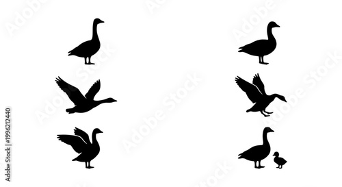 Black goose silhouette collection, wild waterfowl bird vector set, flying and standing geese icons, 6 nature elements for hunting and wildlife design
