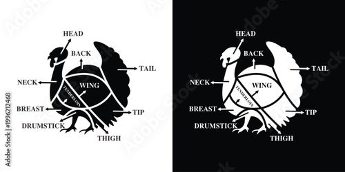 Diagram of Turkey Cuts and Anatomy.