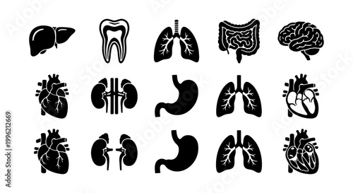 Human internal organs black silhouette icons, medical anatomy vector set with heart, lungs, and brain, 15 healthcare symbols for clinical infographics