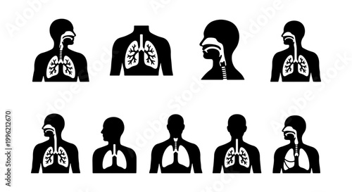 Respiratory system icons set, human lungs and breathing anatomy symbols, medical vector illustrations of pulmonary health and airway diagrams