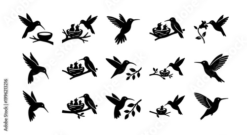 Hummingbird silhouette icon set, flying bird with nest and flower vector collection, black colibri bird life cycle graphics for nature branding