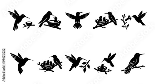 Hummingbird silhouette vector icons, set of 10 black bird illustrations with nests and flowers, minimalist avian wildlife graphics for logos