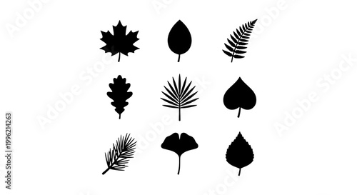 Black leaf silhouettes collection, set of 9 botanical vector icons, minimalist foliage shapes including maple oak and fern for nature branding