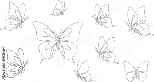 Elegant butterfly collection a delicate sketch of winged wonders