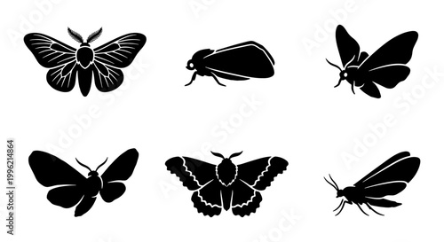Vintage moth silhouette collection, black butterfly insect icons, set of 6 nocturnal moth vector illustrations for nature branding and tattoo design