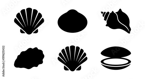 Minimalist seashell icon set, black silhouette sea shell collection of 6 vector elements, nautical scallop and clam shell symbols for summer branding